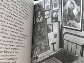 Людмила Ильюнина: Роднуша моя. Книга стихов старца Н. Гурьянова