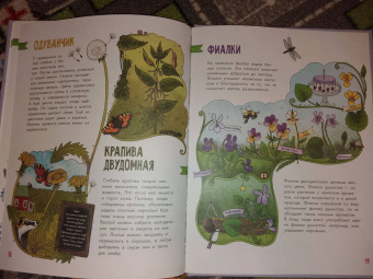 Эмма Янссон: Цветы и растения