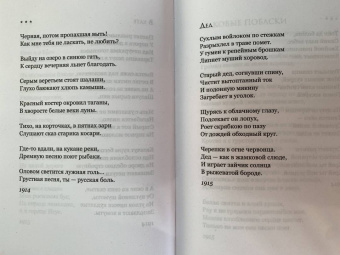 Сергей Есенин: Я московский озорной гуляка