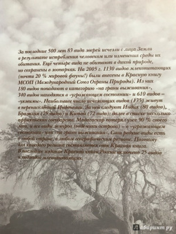 Звери мира