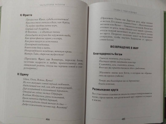 Диана Паксон: Руническое искусство. Путеводитель по использованию рун в заклинаниях, ритуалах и гадании