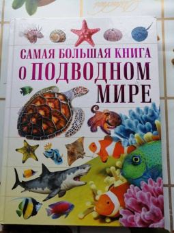 Ликсо, Кошевар: О подводном мире