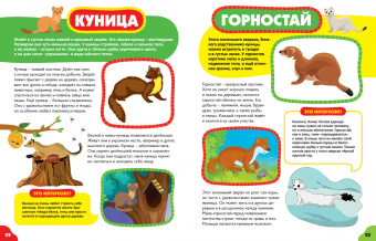 Анна Забирова: Животные для малышей