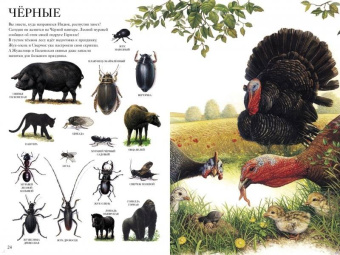 Селин Потард: Большой атлас животных