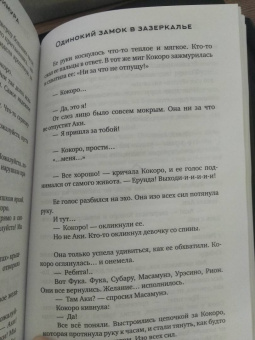 Мидзуки Цудзимура: Одинокий замок в Зазеркалье