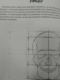 Мистер Грей: Суперкурс по рисованию. Голова и фигура человека