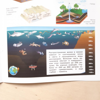Вениамин Шехтман: Планета Земля