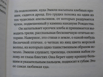 Доминик Фортье: Города на бумаге. Жизнь Эмили Дикинсон