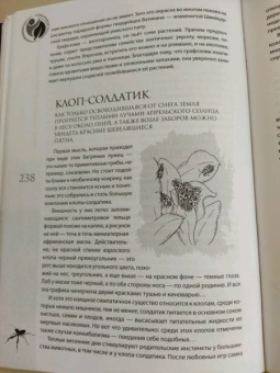 Анатолий Бернацкий: "Живые самоцветы" за порогом дома. Удивительные беспозвоночные