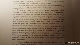 Дмитрий Мамин-Сибиряк: Лесная сказка