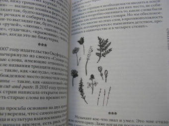 Кио Маклир: Птицы, искусство, жизнь. Год наблюдений