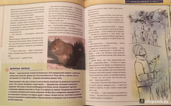 Валентина Мальцева: Открываем тайны леса