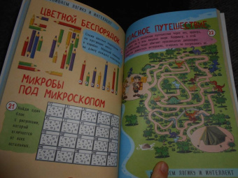 Попова, Третьякова: 250 лучших лабиринтов и головоломок