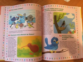 Тамара Скиба: Животный мир. Энциклопедия маленького почемучки