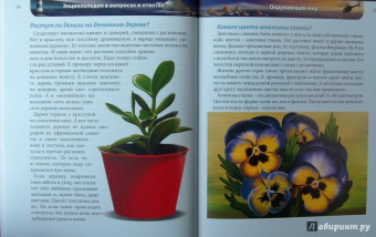 Оксана Балуева: Хочу знать. В вопросах и ответах