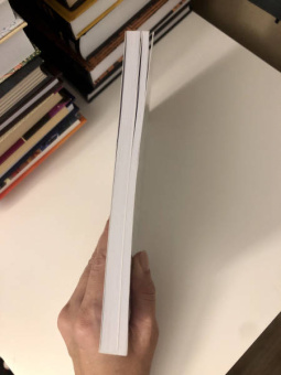 Сергей Деменок: Неофеодализм. Ренессанс символизма