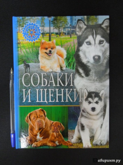 Собаки и щенки