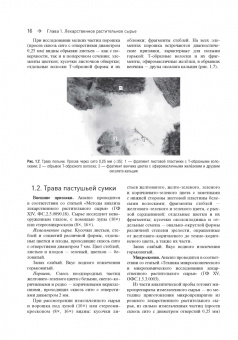 Самылина, Бобкова, Потанина: Фармакогнозия. Атлас. В 3-х томах. Том 3. Лекарственное растительное сырье, сборы