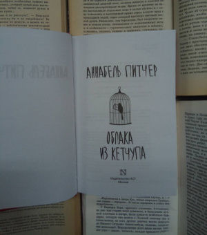Аннабель Питчер: Облака из кетчупа