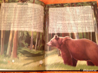 Ярослава Соколова: Хочу знать. Медведи