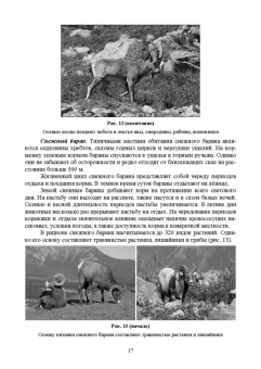 Анатолий Суворов: Основы полевых наблюдений. Следы жизнедеятельности зверей и птиц. Учебник для СПО