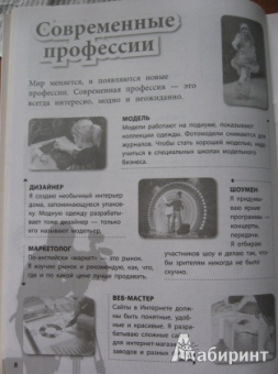 Елена Шейнина: Профессии