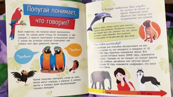 Анна Булгакова: Животные
