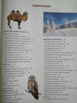 Людмила Соколова: Что? Где? Почему?