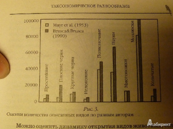 Лебедева, Дроздов, Криволуцкий: Биологическое разнообразие. Учебное пособие