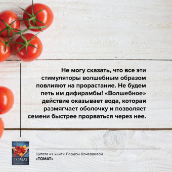 Лариса Кочелаева: Томат. Выращиваем, ухаживаем и едим