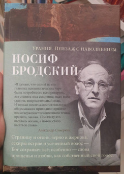 Иосиф Бродский: Урания. Пейзаж с наводнением