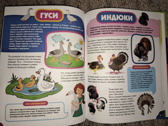 Анна Забирова: Птицы для самых маленьких