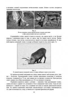 Анатолий Суворов: Основы полевых наблюдений. Следы жизнедеятельности зверей и птиц. Учебник для СПО