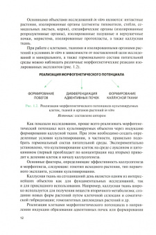 Калашникова, Киракосян: Культура тканей и клеток растений. Учебник