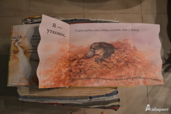 Кто спрятался?
