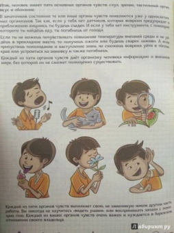 Ольга Соколова: Как устроен человек и зачем ему врачи?