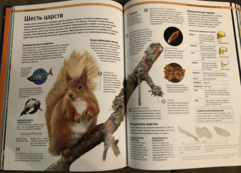 Малиция, Сориано, Фернандес: Тайны планеты Земля. Большая иллюстрированная энциклопедия