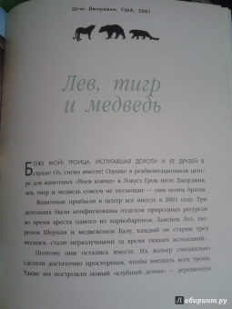 Дженнифер Холанд: Невероятная правда о дружбе:  47 историй в фотографиях об удивительной дружбе животных
