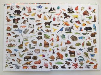 Селин Потард: Большой атлас животных