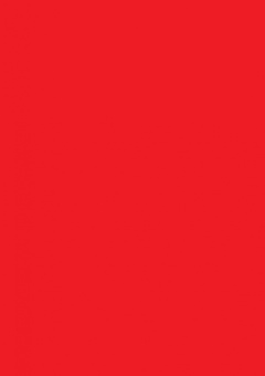 Элла Шадрина: Сделай сам из бумаги. Новый год и Рождество