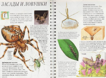 Джон Вудвард: Дискавери:  Акулы и другие хищники