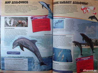 Большая книга животного мира