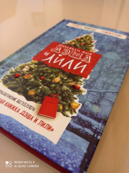 Левитан, Кон: Двенадцать дней Дэша и Лили