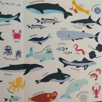 Елизавета Мелентьева: Моря России