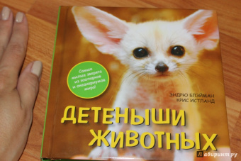 Блэйман, Истланд: Детеныши животных