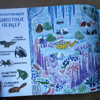 Изабелла Баннелл: На грани исчезновения