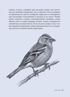Ульрих Шмид: Птицы. Крылатые чудеса природы