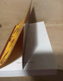 Жоржи Амаду: Габриэла, гвоздика и корица