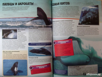 Большая книга животного мира
