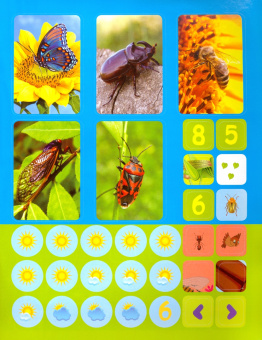 Наталья Литвиненко: Насекомые. Сборник развивающих заданий с наклейками. Загадки, пословицы, скороговорки. 40 заданий